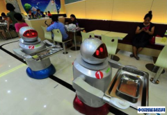 中国家庭智能机器人行业市场需求预测与投资分